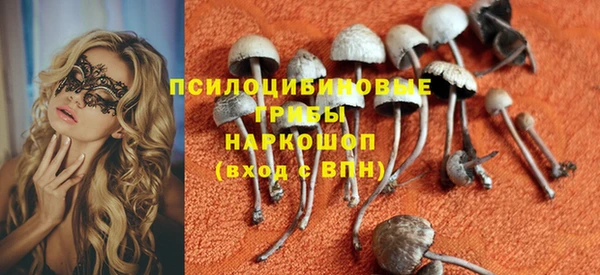 ГАЛЛЮЦИНОГЕННЫЕ ГРИБЫ Балахна