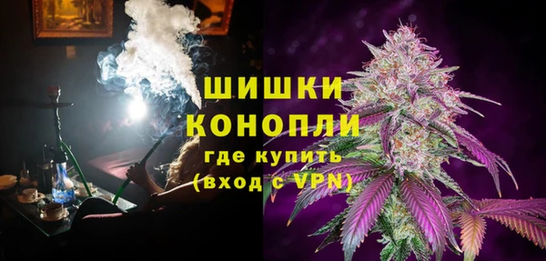 ГАЛЛЮЦИНОГЕННЫЕ ГРИБЫ Балахна