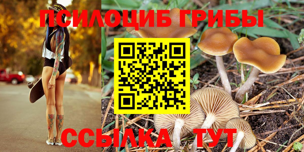 Псилоцибиновые грибы мицелий  Псилоцибиновые грибы Cubensis  Вход с VPN  Реж 